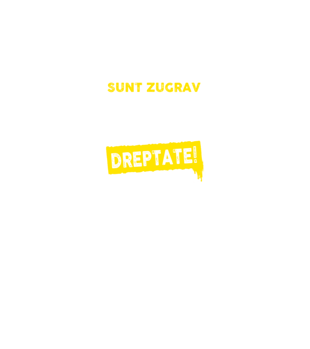Sunt zugrav, pentru a economisi timp, să reținem că am întotdeauna dreptate! model negru pe tricou