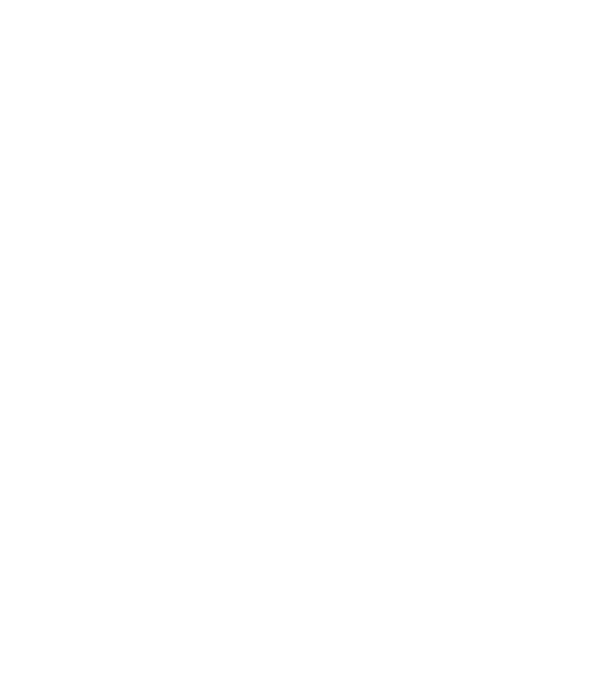 All men are created equal but only the best are born in february model negru pe tricou