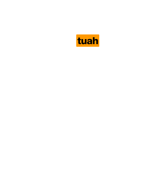 hawk tuah pornhub mix model gri pe tricou
