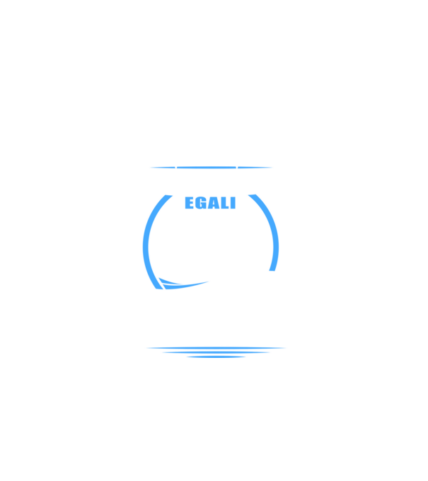 Toți bărbații se nasc egali programatori model negru pe tricou