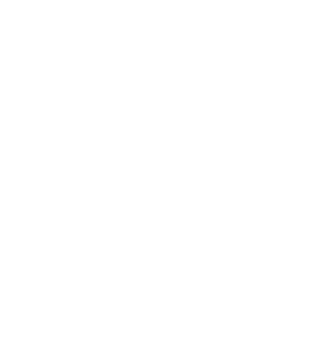 Așa arată un zugrav foarte chipeș model albastru regal pe tricou