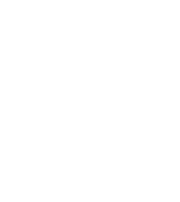 All men are created equal but only the best are born in february model negru pe tricou