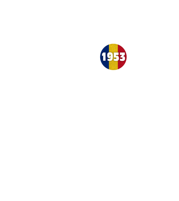made in 1953 retro vintage model gri închis pe tricou