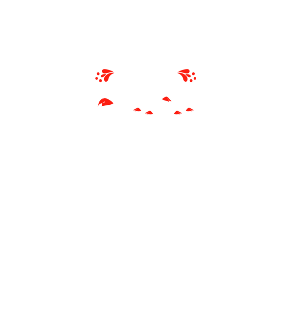 merry chessmass model turcoaz pe tricou