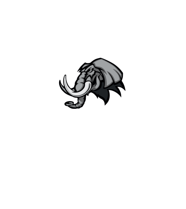 Elephant model alb pe tricou