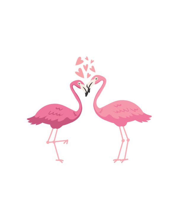 FLAMINGO ÎNDRĂGOSTIȚI model alb pe tricou