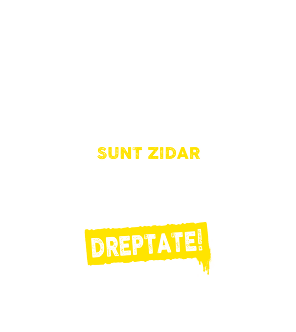 Sunt zidar, pentru a economisi timp, să reținem că am întotdeauna dreptate! model albastru închis pe tricou