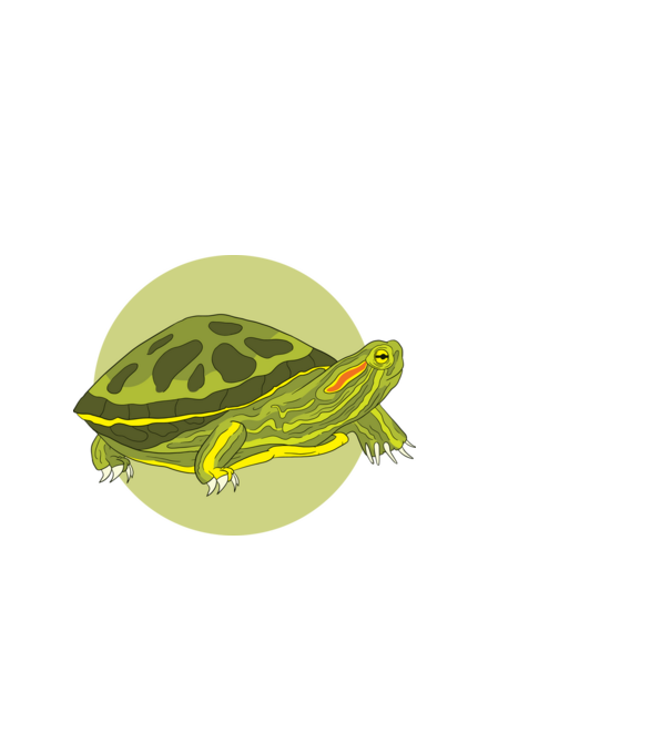 Turtle model negru pe tricou