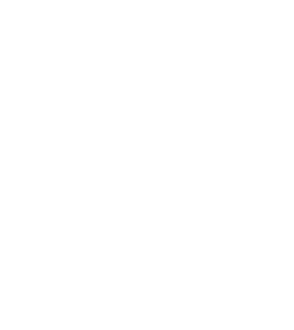 Freedom model gri pe tricou