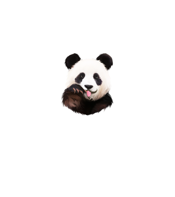 Panda face model turcoaz pe tricou