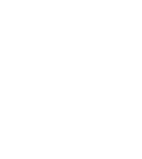 chitară evolution model negru pe tricou