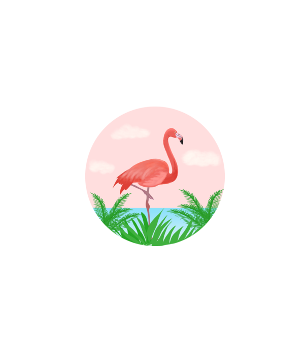 Flamingo model alb pe tricou