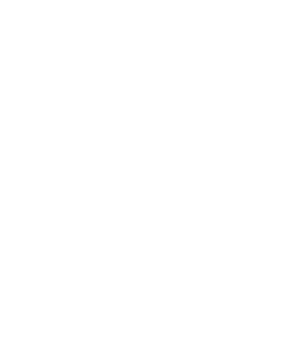 EarthLogo model negru pe tricou