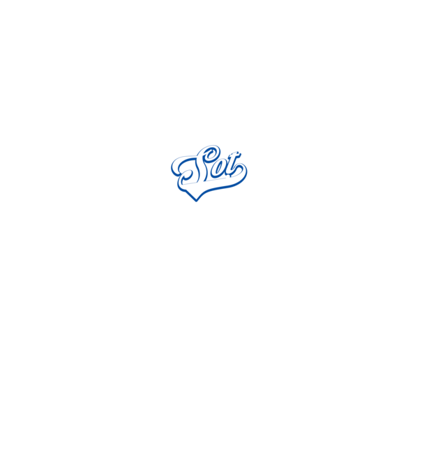 Cel mai bun SOȚ din lume model gri pe tricou