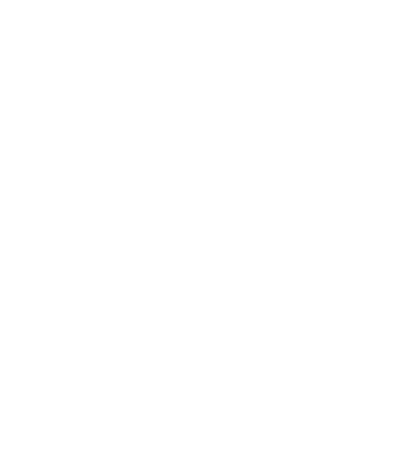 Așa arată un stăpân de Havanese foarte chipeș model negru pe tricou