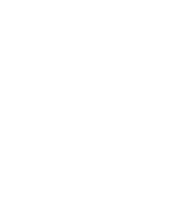 Mr. model alb pe tricou