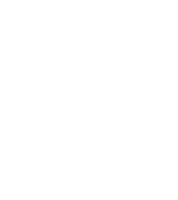 LOVE VIȘLĂ model negru pe tricou
