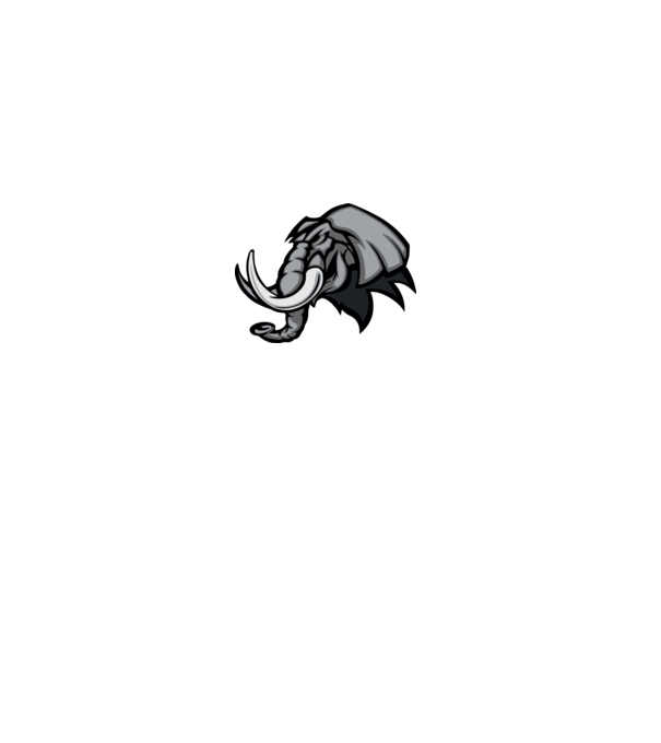 Elephant model gri pe tricou