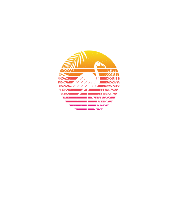 Retro flamingo sunset model negru pe tricou