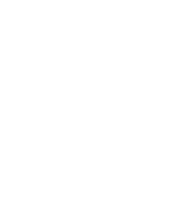 Așa arată un stăpân de Corgie foarte chipeș model negru pe tricou