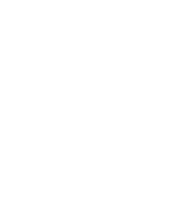 LOVE Border Collie model negru pe tricou
