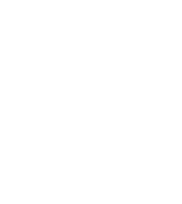 avion model negru pe tricou
