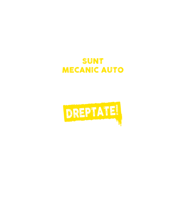 sunt MECANIC AUTO, pentru a economisi timp, să reținem că am întotdeauna dreptate model negru pe tricou