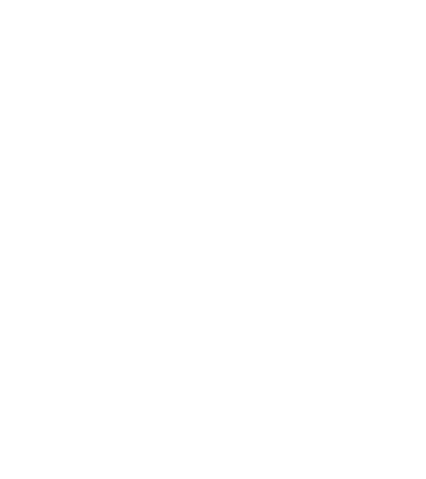 Zidarul model negru pe tricou