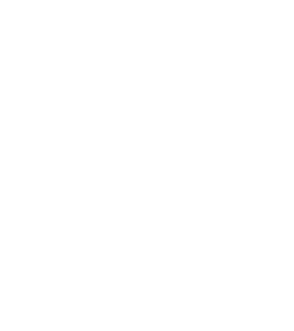 Freedom model gri pe tricou
