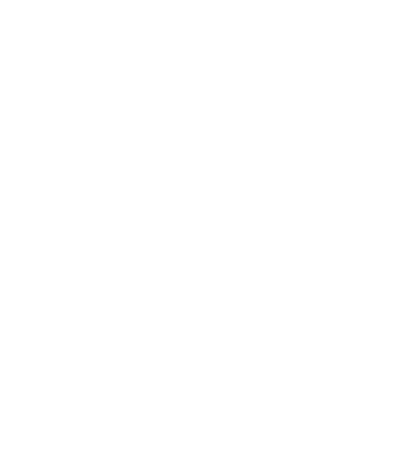 Programmer model alb pe tricou