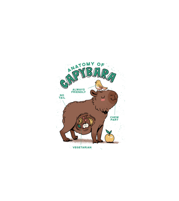 Anatomy of Capybara model alb pe tricou