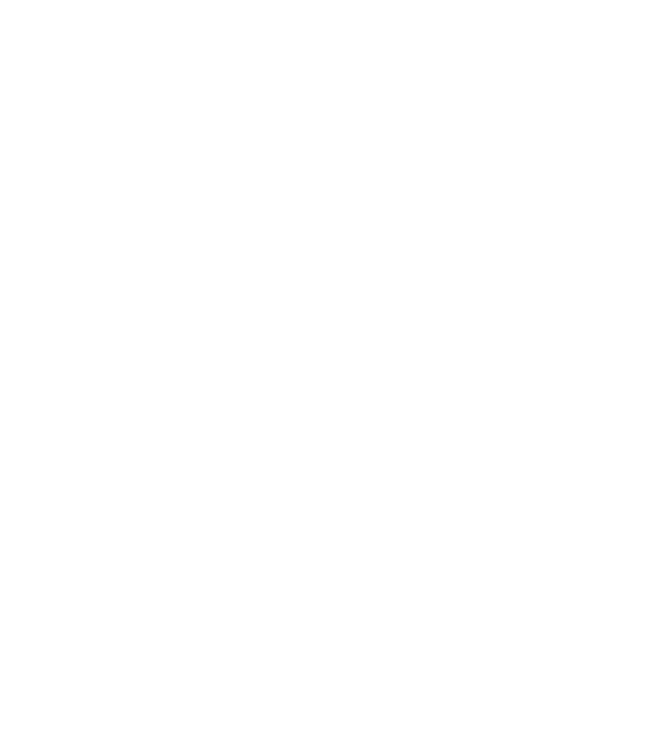 Crazy Cat Ladies are born in June model negru pe tricou