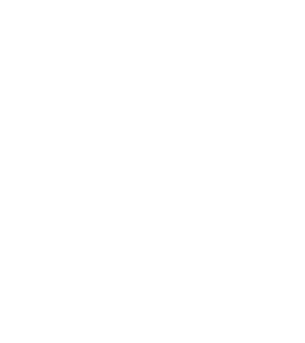 LOVE Havanese model negru pe tricou