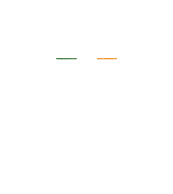 Zero irish model negru pe tricou