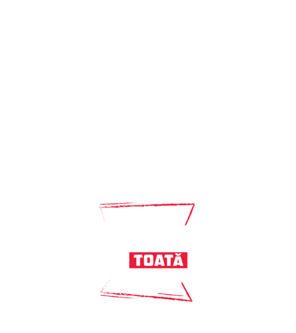 Toată luna DECEMBRIE model albastru închis pe tricou