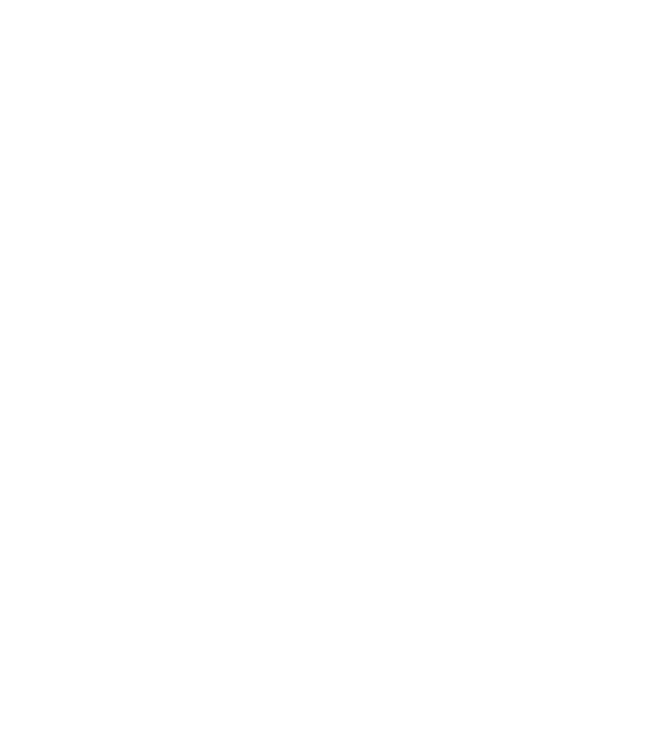 Crazy Cat Ladies are born in June model negru pe tricou