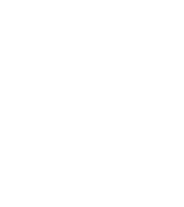 LOVE Border Collie model negru pe tricou