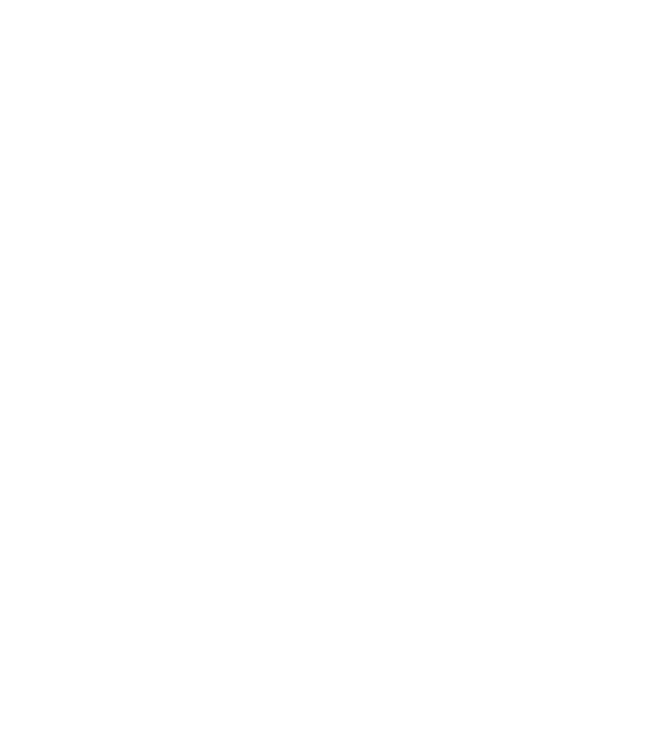 Playing cards King of spades model negru pe tricou
