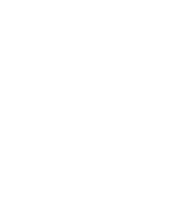 Așa arată un zugrav foarte chipeș model albastru regal pe tricou