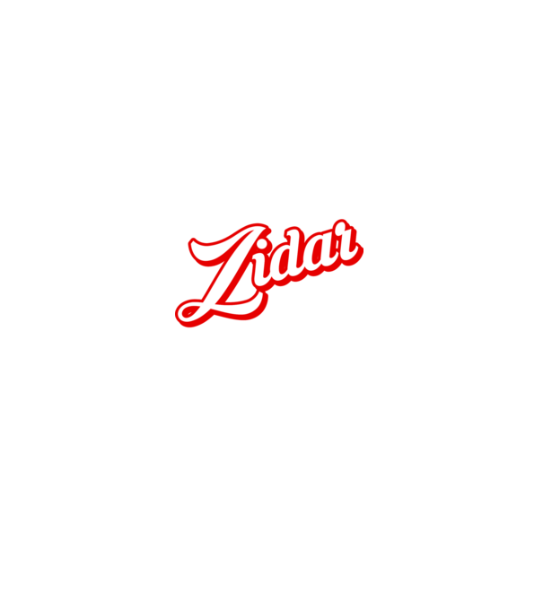 Cel mai bun ZIDAR din lume model negru pe tricou