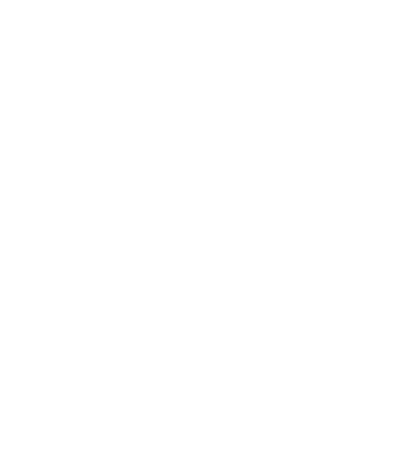 Crazy Cat Ladies are born in January model negru pe tricou