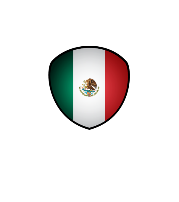 MEX-jabulani-flag model alb pe tricou