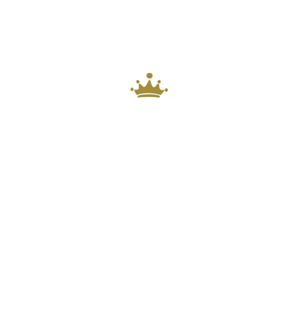 Princess model gri închis pe tricou