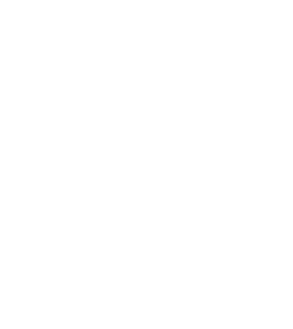 The Boss model gri pe tricou