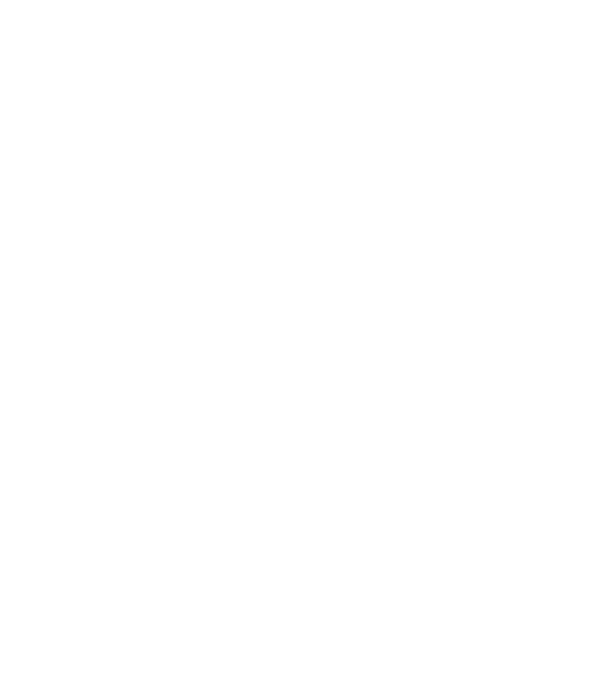 Made in awesome 1955 model alb pe tricou