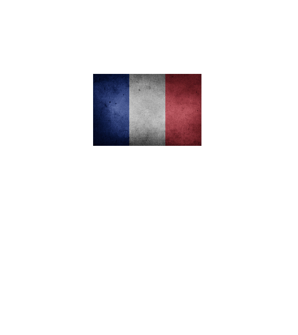 FRANCE model gri închis pe tricou