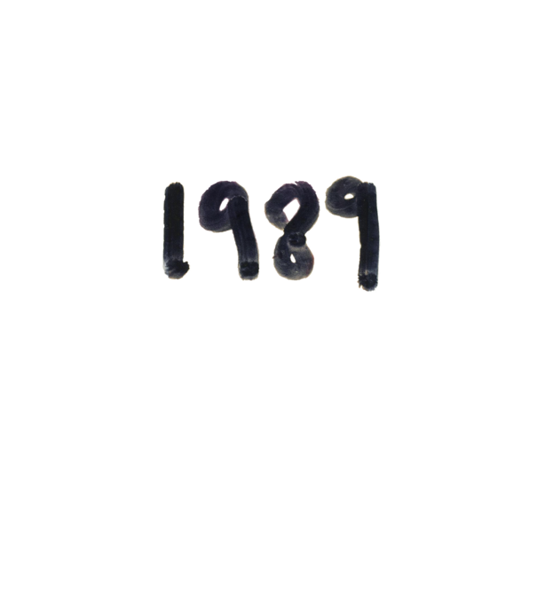 Taylor Swift 1989 text model gri pe tricou