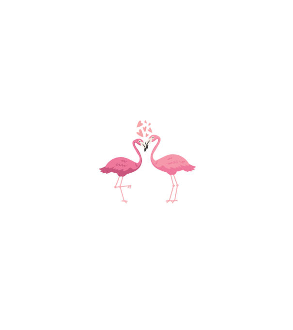 FLAMINGO ÎNDRĂGOSTIȚI model alb/roșu pe tricou