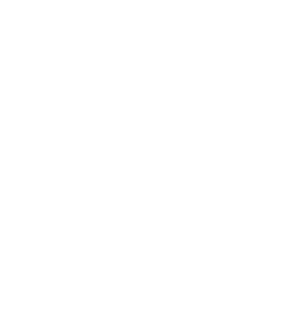 nu. tot nu sunt căsătorită. model negru pe tricou