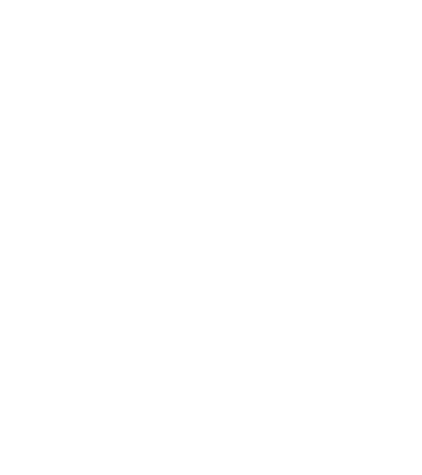 Camion 2. model albastru regal pe tricou